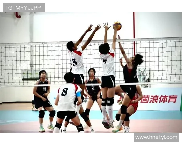 上海排球队的奋斗与荣耀：一段不平凡的排球纪实之旅